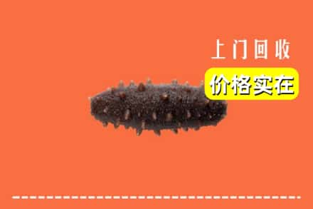 收购资讯:临夏州积石山回收海参